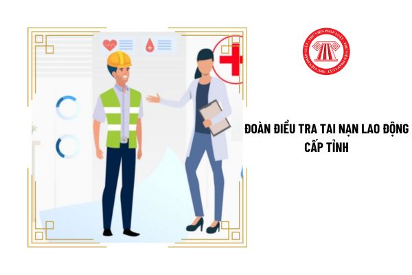 Đoàn điều tra tai nạn lao động cấp tỉnh bao gồm những ai?