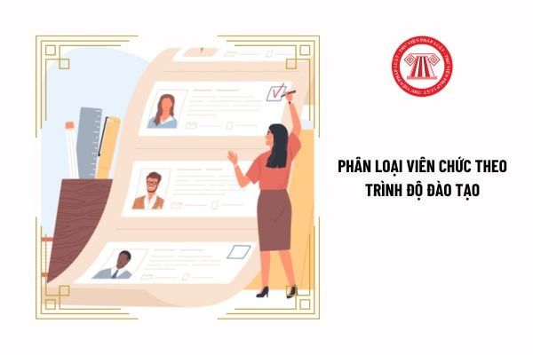 Phân loại viên chức theo trình độ đào tạo như thế nào?