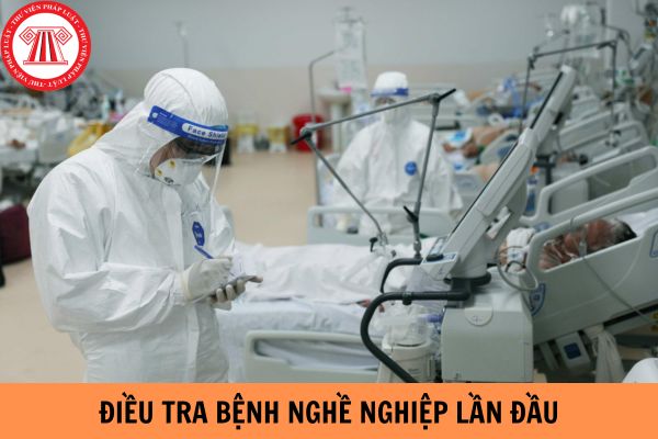 Cho tôi hỏi thẩm quyền thành lập đoàn điều tra lần đầu bệnh nghề nghiệp thuộc về ai?Câu hỏi của anh M.T (Sơn La)