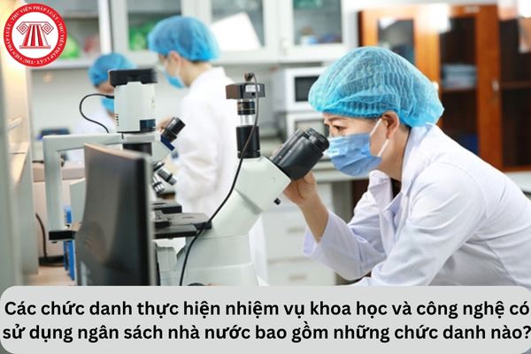 Cho tôi hỏi các chức danh thực hiện nhiệm vụ khoa học và công nghệ có sử dụng ngân sách nhà nước bao gồm những chức danh nào? Câu hỏi của anh T.G (Lâm Đồng)