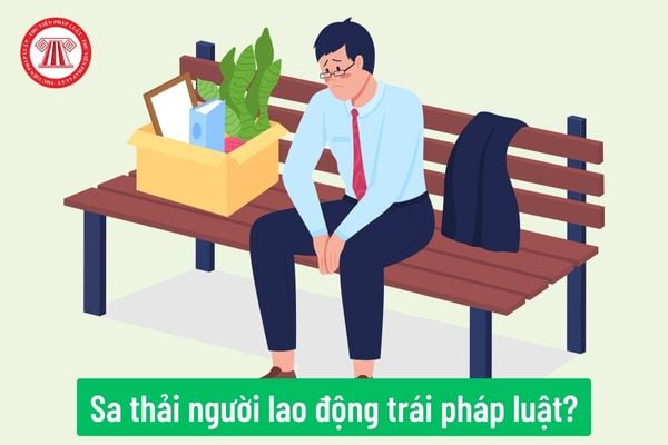 Cho tôi hỏi, người lao động bị sa thải không có lý do thì nên làm gì để đòi quyền lợi chính đáng?  Câu hỏi của chị M.A (Khánh Hòa)