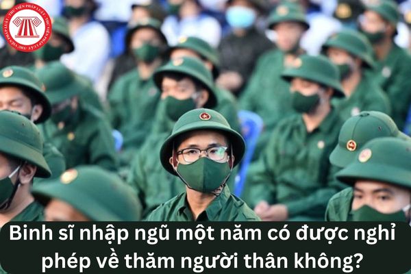 Cho tôi hỏi binh sĩ nhập ngũ một năm có được nghỉ phép về thăm người thân không? Câu hỏi của anh T.S (Vũng Tàu)