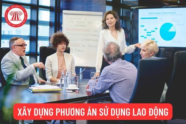 Xây dựng phương án sử dụng lao động