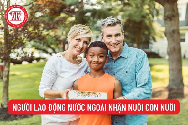 Nhận nuôi con nuôi