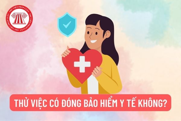 Thử việc đóng BHYT không?