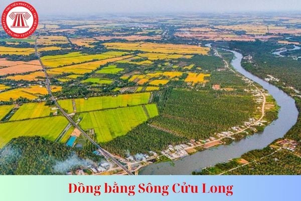 Lao Động Tiền Lương