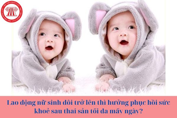 Lao động nữ sinh đôi trở lên thì hưởng phục hồi sức khoẻ sau thai sản tối đa mấy ngày?