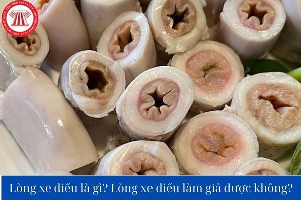 Lao động tiền lương