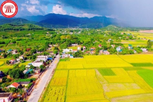 Lao Động Tiền Lương