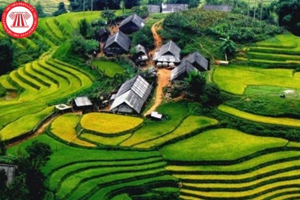 Lao Động Tiền Lương