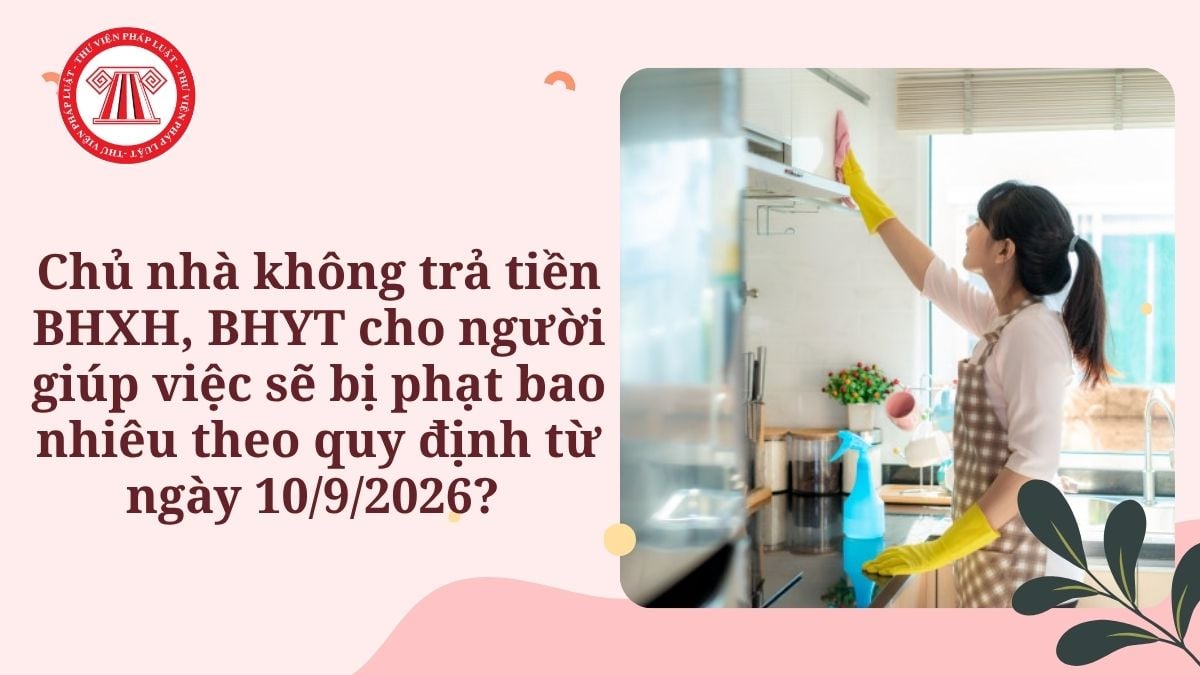 Lao Động Tiền Lương