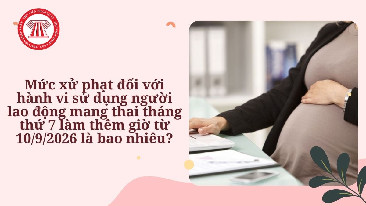 Lao Động Tiền Lương