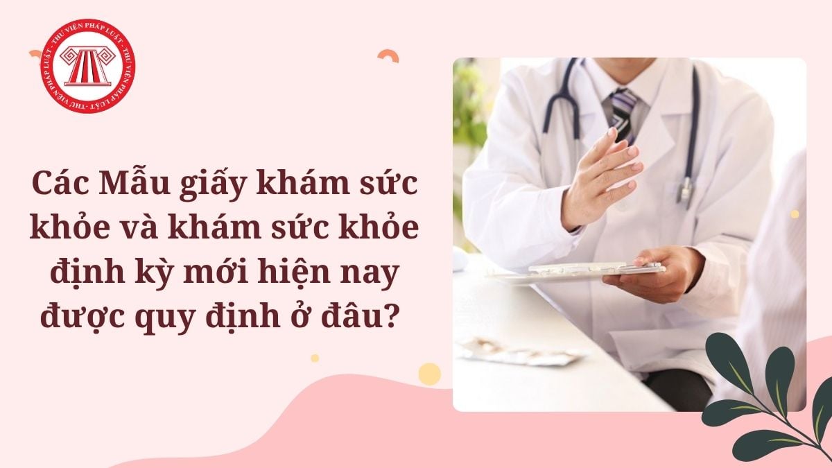 Lao Động Tiền Lương