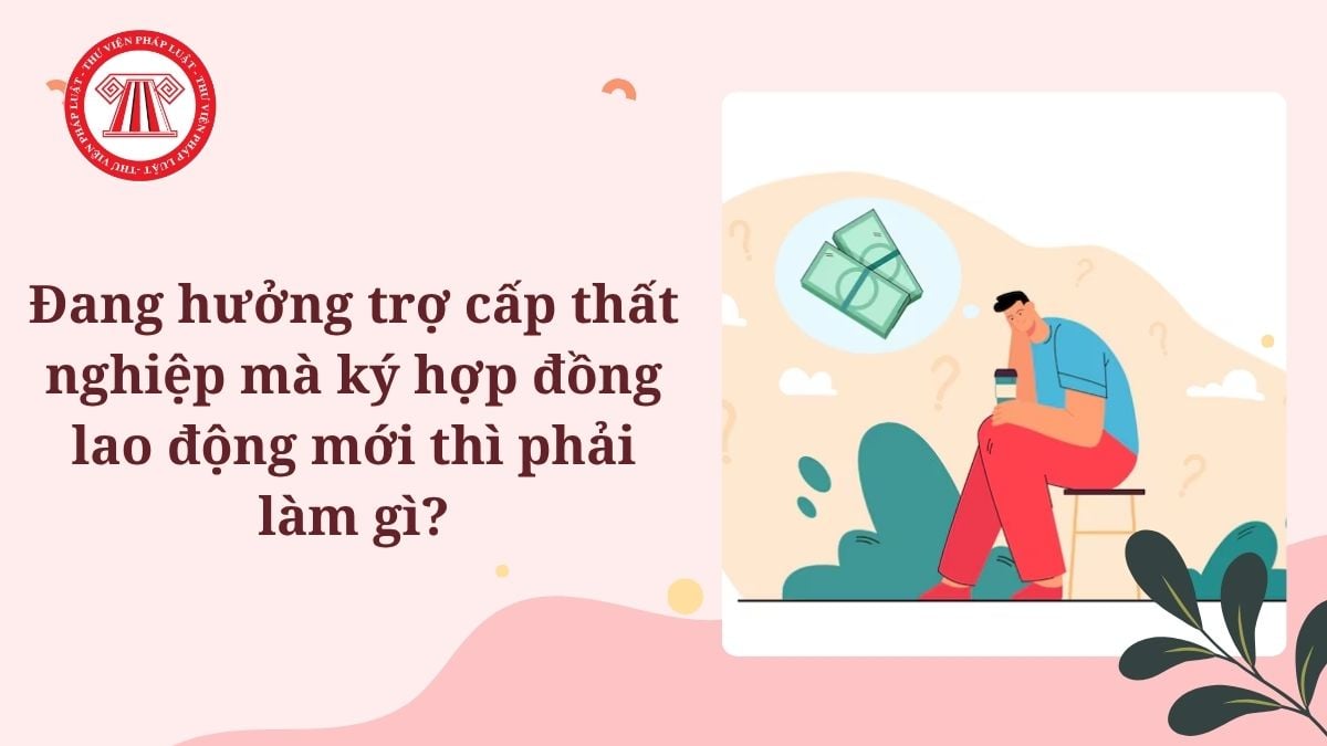 Lao Động Tiền Lương