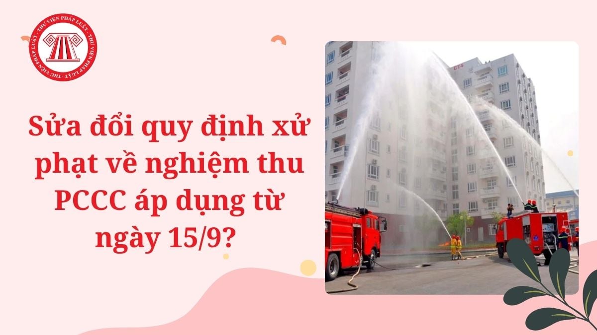 Lao Động Tiền Lương