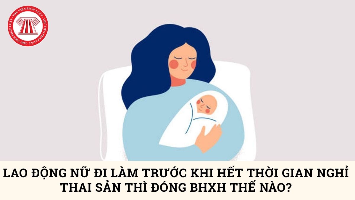 Lao Động Tiền Lương