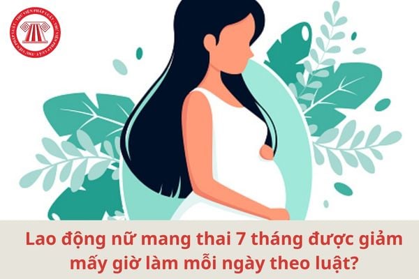 Lao Động Tiền Lương