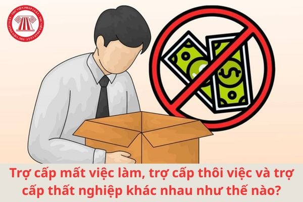 Lao Động Tiền Lương