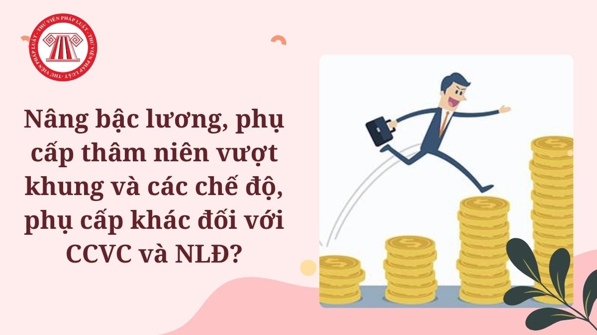 Lao Động Tiền Lương