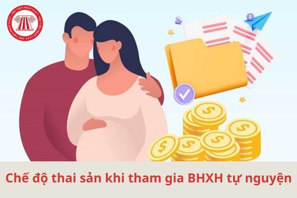 Lao Động Tiền Lương