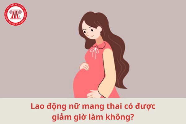 Lao Động Tiền Lương
