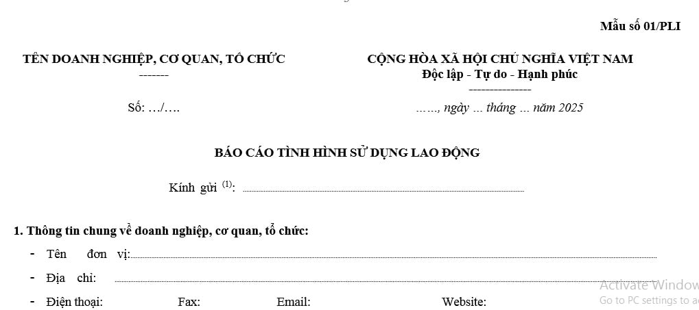 Báo cáo tình hình sử dụng lao động