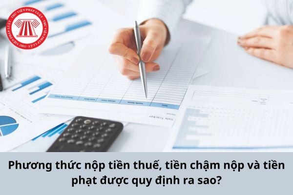 Pháp luật
