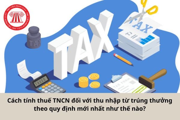 Pháp luật