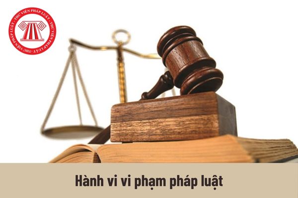Người lao động Việt Nam có quyền và nghĩa vụ tố cáo hành vi vi phạm pháp luật trong lĩnh vực người lao động Việt Nam đi làm việc ở nước ngoài không?