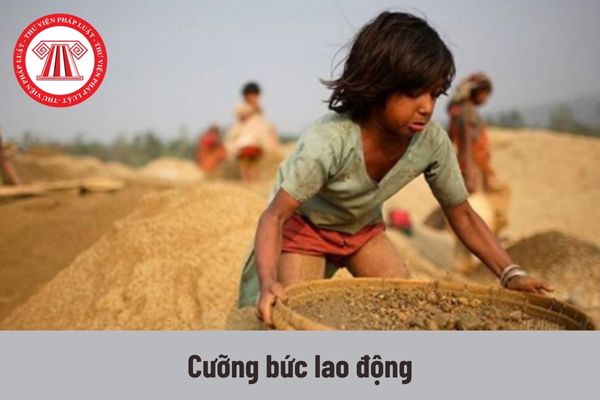 Người Lao động Việt Nam Làm Việc ở Nước Ngoài Theo Hợp đồng Bị Cưỡng Bức Lao động Có Quyền đơn 5567