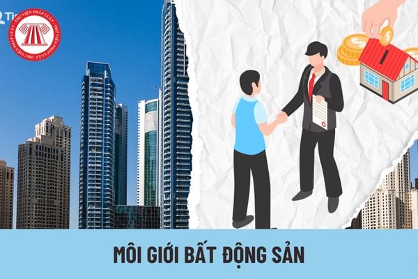 Cá nhân kinh doanh dịch vụ môi giới bất động sản có quyền được hưởng thù lao không?