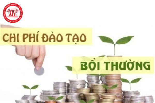 Lao Động Tiền Lương