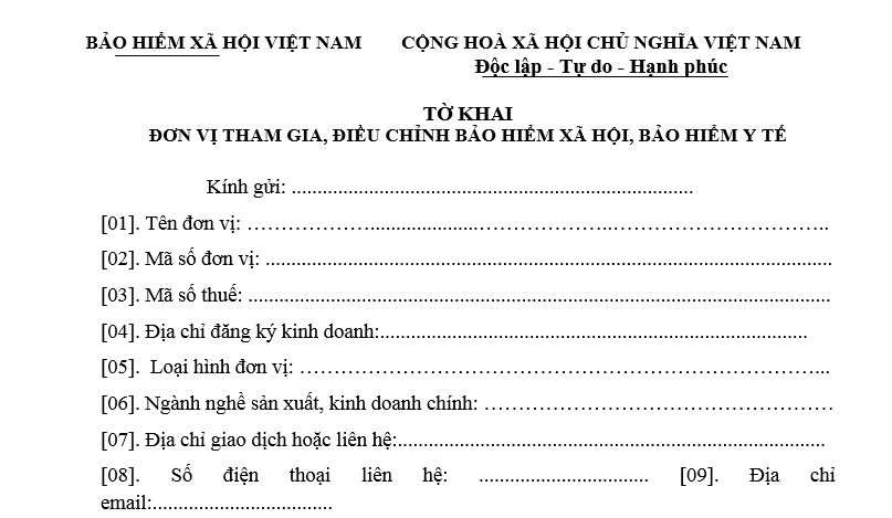 Mẫu TK3 TS là mẫu gì?