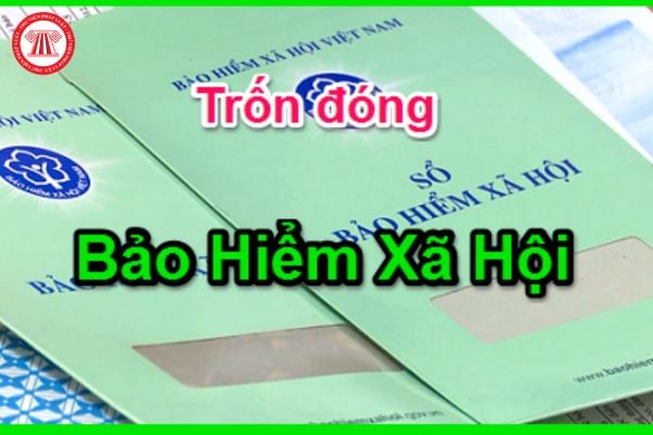 Lao Động Tiền Lương