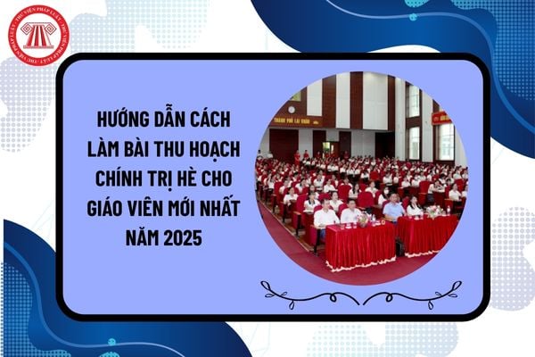 Hướng dẫn nội dung Bài thu hoạch chính trị hè 2025 cho giáo viên mới nhất gồm bố cục chi tiết và hành văn ra sao?