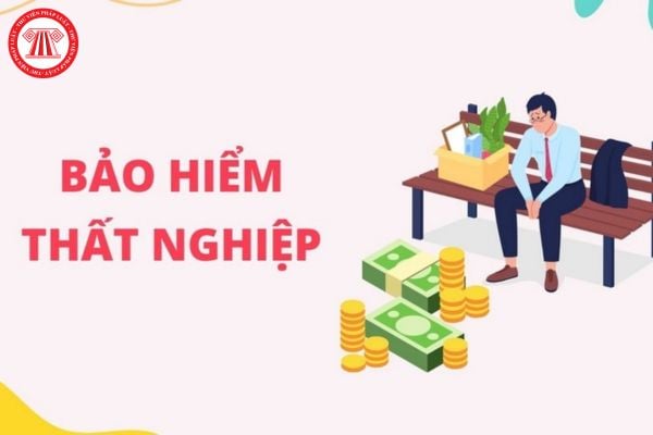 Lao Động Tiền Lương