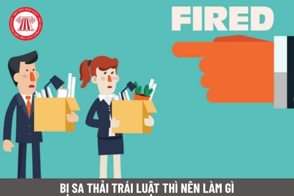 Lao Động Tiền Lương