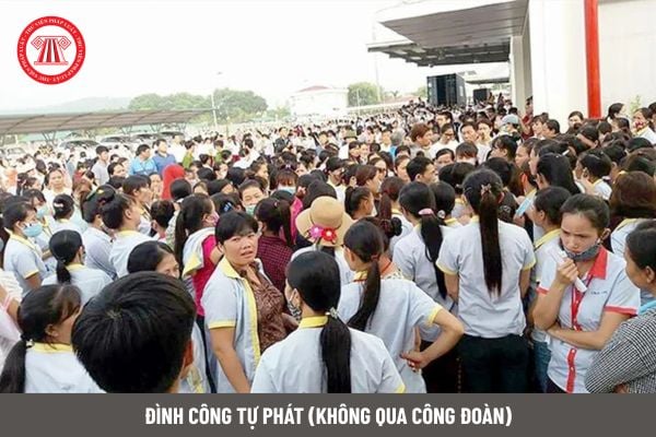 Lao Động Tiền Lương