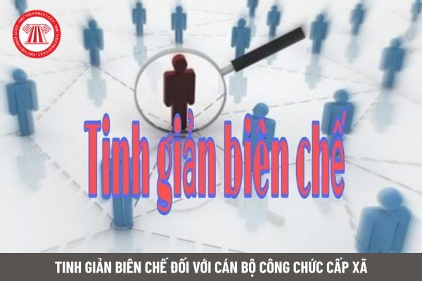 Lao Động Tiền Lương