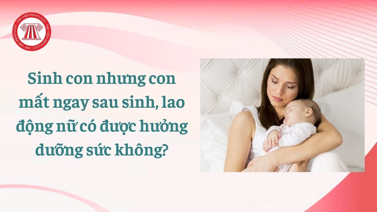 Lao Động Tiền Lương