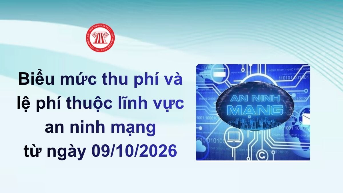 Lao Động Tiền Lương