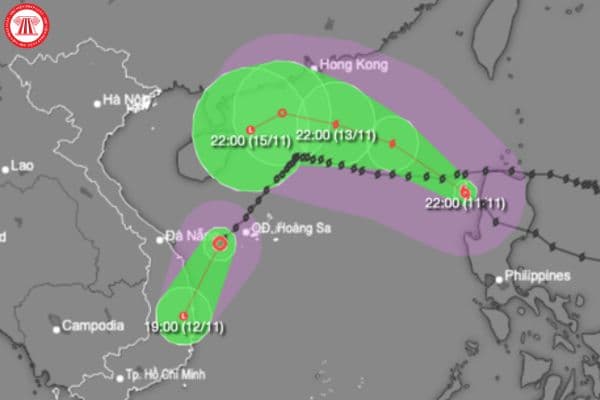 Bão số 8 vào đâu? Ứng phó cơn bão số 8 như thế nào?
