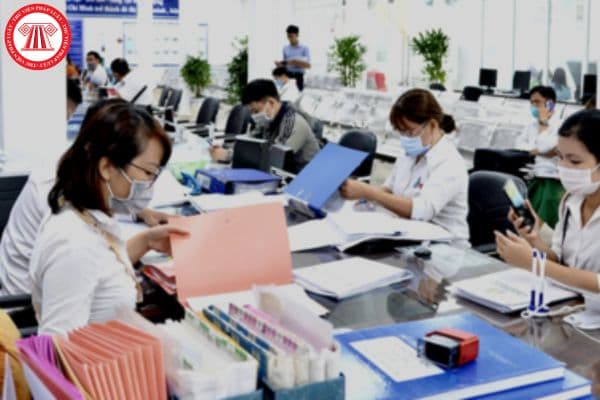 Chủ tịch công ty TNHH do Nhà nước giữ 100% vốn điều lệ có thuộc đối tượng tinh giản biên chế không?