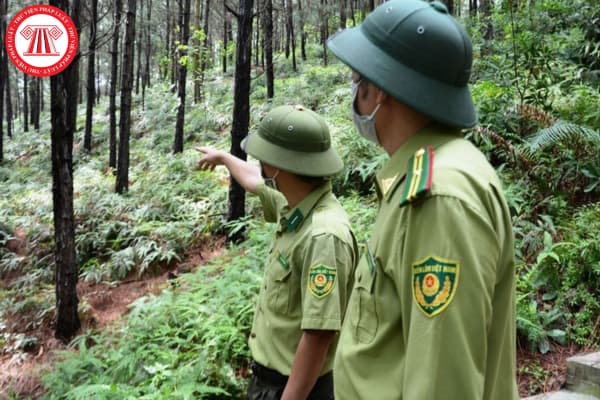 Công chức viên chức ngành kiểm lâm được hưởng phụ cấp ưu đãi nghề trong trường hợp nào?