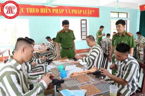 Kinh phí thực hiện chính sách hỗ trợ đào tạo nghề nghiệp đối với người chấp hành xong hình phạt tù trên địa bàn TPHCM đến từ đâu?