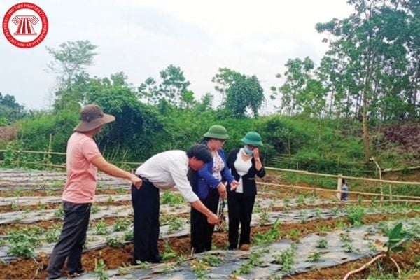 Cơ quan, đơn vị nào thực hiện dự án Đa dạng hóa sinh kế, phát triển mô hình giảm nghèo?