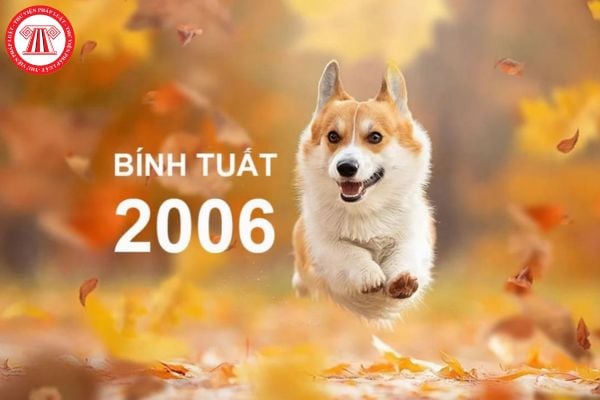 Tử vi 2025 tuổi Bính Tuất nữ mạng sinh năm 2006 như thế nào? Công việc thăng tiến của nữ tuổi Bính Tuất trong năm 2025 ra sao?