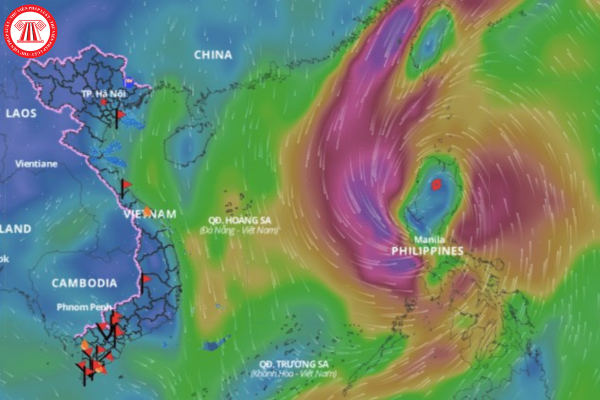 Bão Trà Mi đổ bộ vào đâu? Người lao động có được trả lương khi nghỉ việc do bão Trà Mi không?