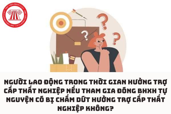 Người lao động trong thời gian hưởng trợ cấp thất nghiệp nếu tham gia đóng BHXH tự nguyện có bị chấm dứt hưởng trợ cấp thất nghiệp không?