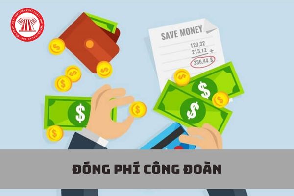 Có phải đóng phí công đoàn đối với nhân viên đang hưởng chế độ hưu trí khi đi làm việc cho công ty không?